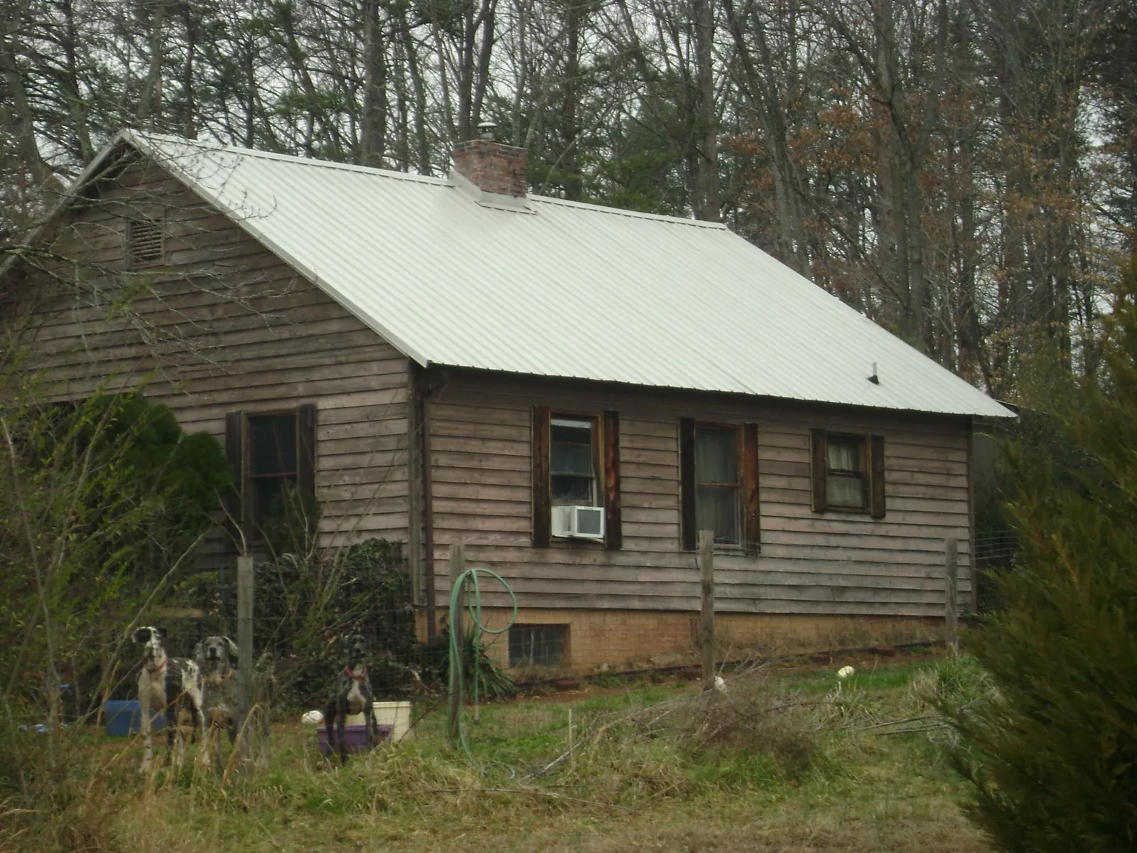 White metal roof on an old wood sided farmhouse, from a Asphalt Shingle Roof Repair job in Galesburg